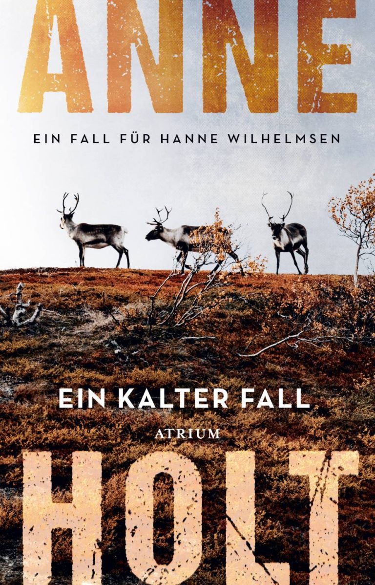 Ein kalter Fall von Anne Holt