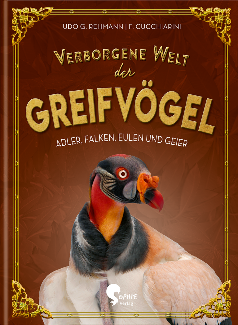 Verborgene Welt der Greifvögel von Udo G. Rehmann